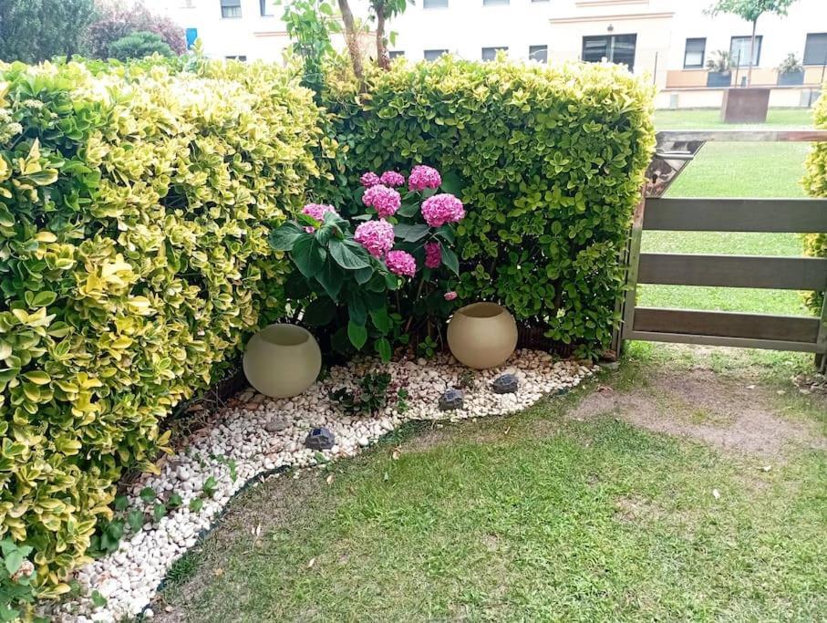 Apartamento En Primera Linea De Mar Roses Dış mekan fotoğraf
