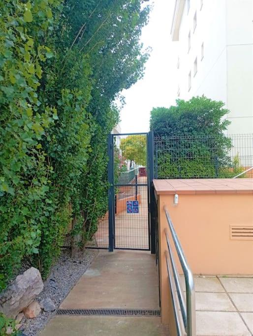 Apartamento En Primera Linea De Mar Roses Dış mekan fotoğraf