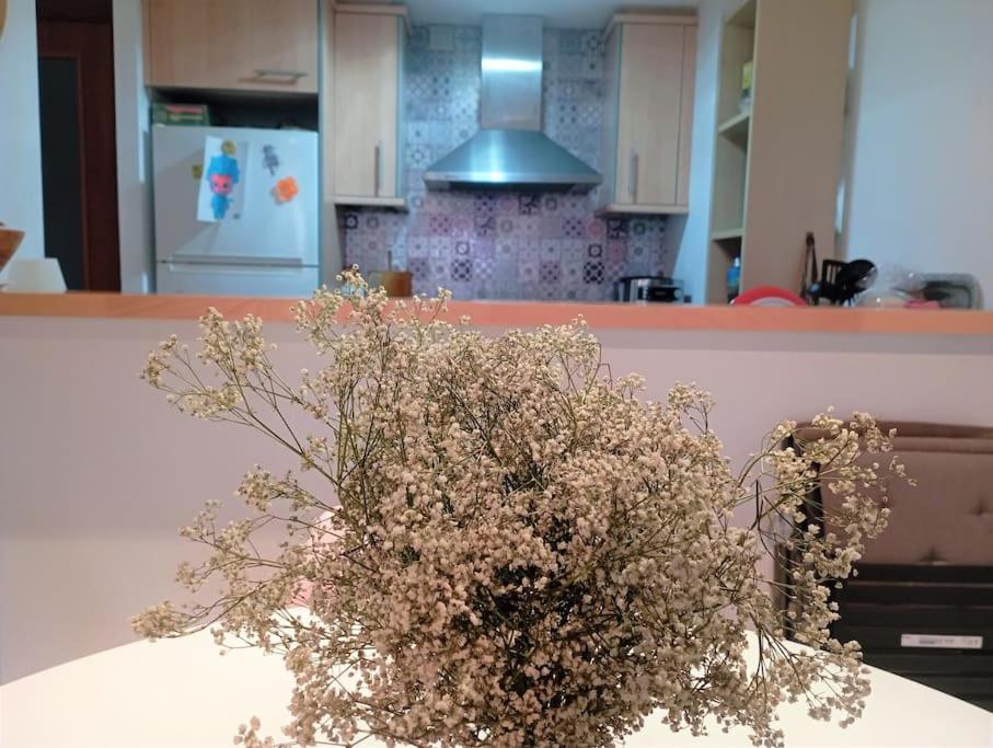 Apartamento En Primera Linea De Mar Roses Dış mekan fotoğraf