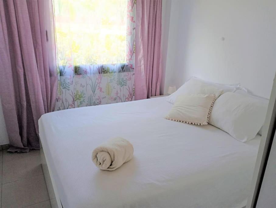 Apartamento En Primera Linea De Mar Roses Dış mekan fotoğraf